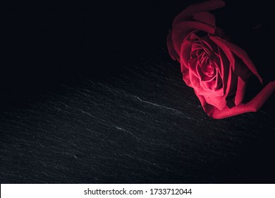 Red rose placed on a dark stone board. Scene depict darkness and sorrow as well as love and romance. - Shutterstock ID 1733712044