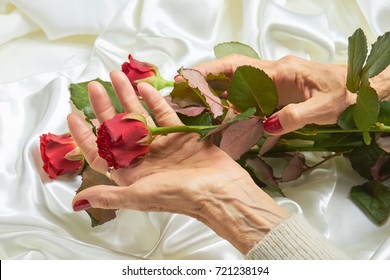 Red Rose In Senior Woman Hands. Old Woman Hands With Red Manicure Holding Beautiful Red Rose On White Silk Background.