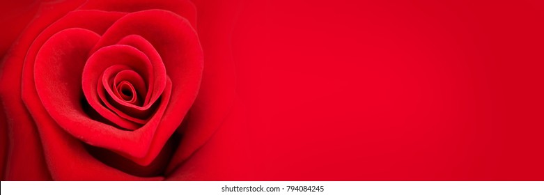 Red Rose In The Shape Of A Heart, Valentines Day Web Banner