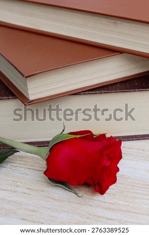 Red rose and a stack of books, celebrating the love of literature and the romantic tradition of Sant Jordi's Day.