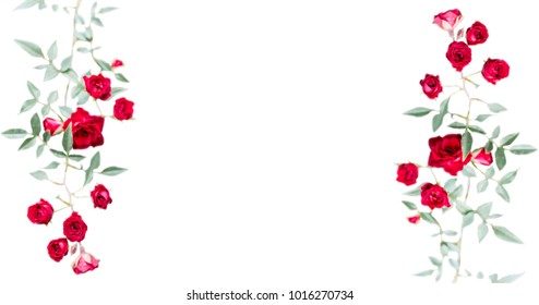 Red Rose Vine Isolated On White Background. Little Flower With Green Leaves And Branch Be Relationship Of Lover.