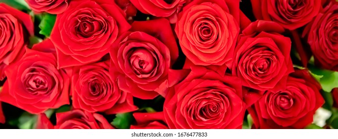 Red Roses Bouquet Images Stock Photos Vectors Shutterstock