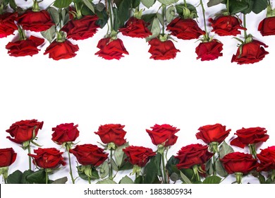 Red Roses Border Frame Isolated On Stock Photo 1883805934 | Shutterstock