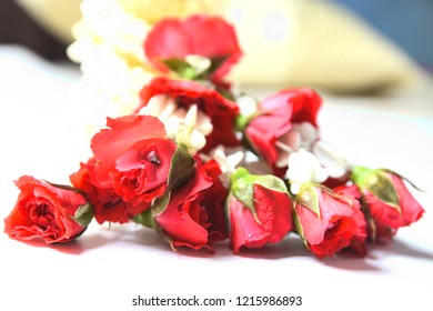 Red Roses Bring A Hundred Sort, View, Beautiful