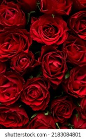 Red roses dark abstract flowers background - Shutterstock ID 2183084801