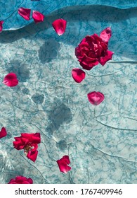 Red roses float on clear water in a blue pool