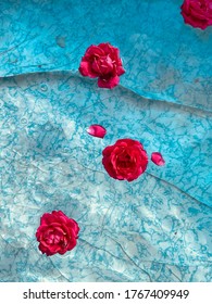 Red roses float on clear water in a blue pool