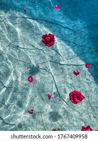 Red roses float on clear water in a blue pool