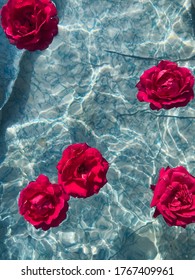 Red roses float on clear water in a blue pool