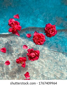 Red roses float on clear water in a blue pool