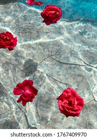 Red roses float on clear water in a blue pool