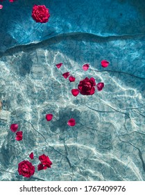 Red roses float on clear water in a blue pool