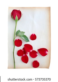 I Love You From Red Rose Petals Images Stock Photos Vectors