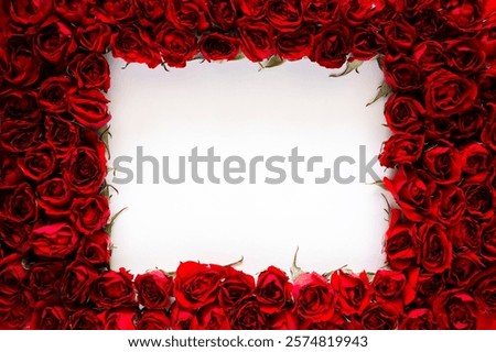 Red roses frame with square empty space white background for Valentine's and Mother day concept.