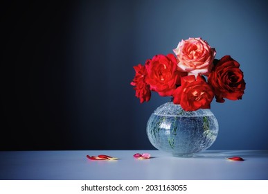 red roses in glass vase on dark blue background 