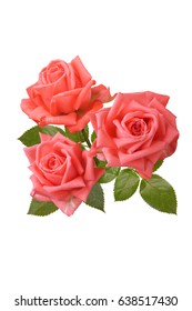 beautiful bouquet of rose flowers isolated on white background