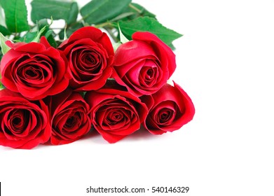 Red Roses Laying On White Background Stock Photo (Edit Now) 358501136