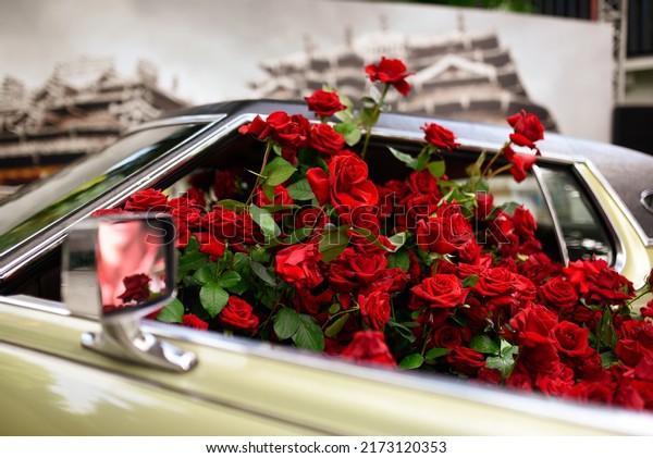 red roses in a old\
car