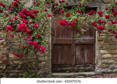 Red Roses And Old Wooden Door In Mombaldone In Piedmont, Italy.