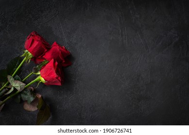 Rosas rojas en una