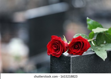 Red roses on black granite tombstone outdoors, space for text. Funeral ceremony