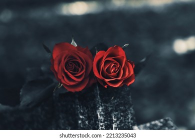 Red Roses On Grey Granite Tombstone Outdoors, Closeup