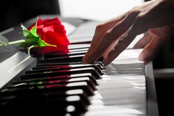 Red Roses On Piano Keys