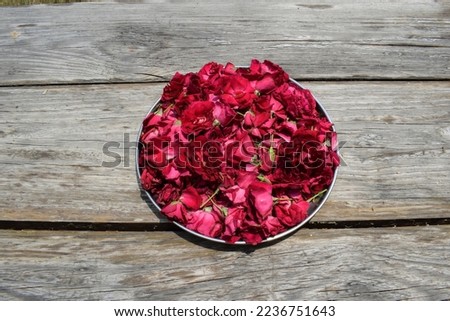 Red roses on rustic wooden background. Rose flower wallpapers backdrops