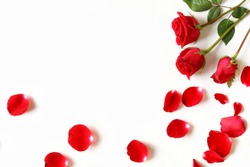 Red Roses And Rose Petals Isolated On White.