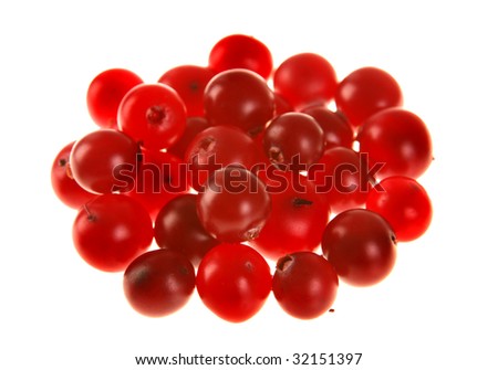Red rowan fruit group on white background