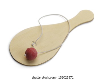 paddle ball with string