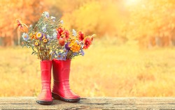 Red Rubber Boots With Bright Flowers Bouquet In Garden, Natural Abstract Sunny Background. Summer Or Autumn Season. Rustic Composition With Flowers. Copy Space. Template For Design