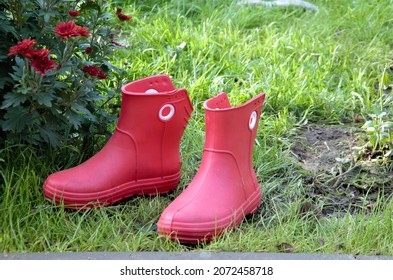 1,329 Red galoshes Images, Stock Photos & Vectors | Shutterstock