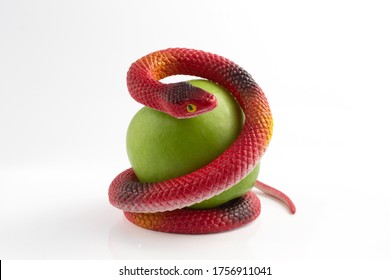 Фрукт змеи