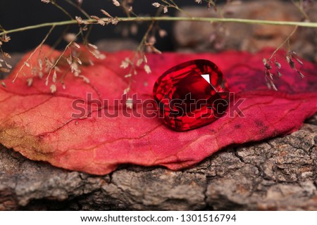 a red ruby gems on a leaf