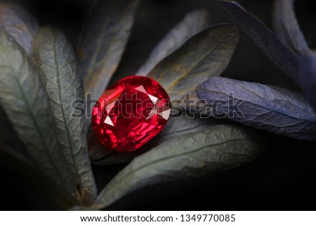 a red ruby gems on a leaf