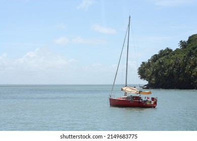 Red Sailboat Alone At Anchor In A Cove