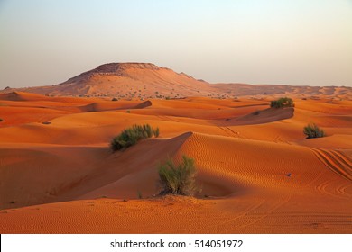 Red sand "Arabian desert" near Dubai, United Arab Emirates