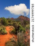 Red sand and cactus on the red hills, AZ, USA