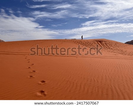 Red Sand Desert Jordan Sanddune Wadi Rum Jordan