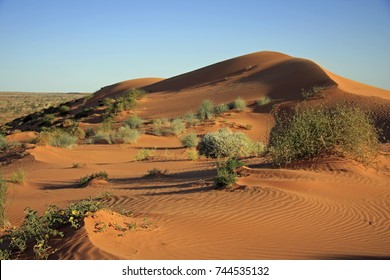 Red Sand Dunes Complete With Desert Plants