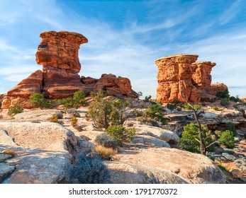 Red Sandstone Formations At The Pothole Point Area. Canyonlands National Park. Utah. USA