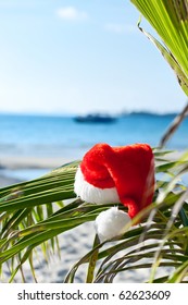 Red Santa's Hat Hanging On Palm Tree At The Tropical Beach. Christmas In Tropical Climate Concept