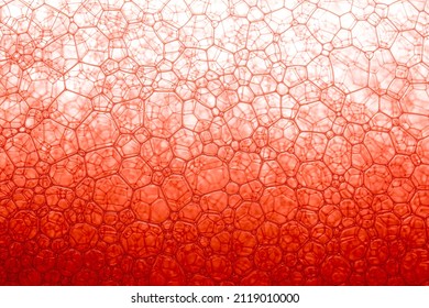 Red Science Texture,Red Froth,Stock
Oil And Water Drops Background 