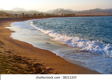  Red Sea.  Nabq Bay