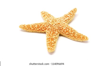 A Red Sea Star Isolated On White Background