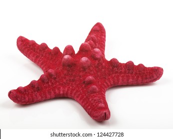 Red Sea Star Isolated On White Background