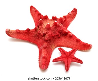 Red Sea Star Isolated On White Background