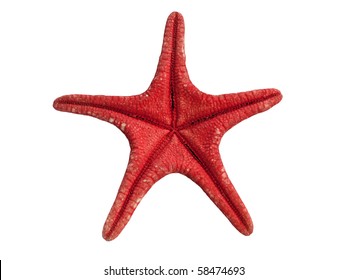 Red Sea Star Isolated On White Background