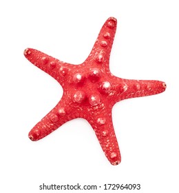 Red Sea Star On White Background 